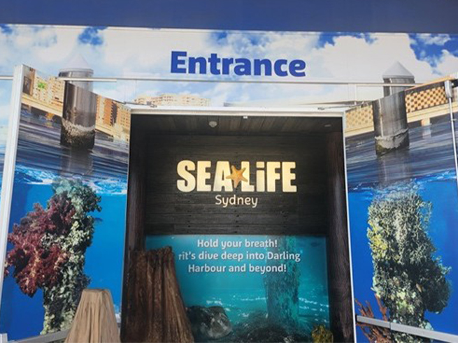 シドニー人気4施設から選べる！お得なアトラクションパス（シドニータワー・水族館・動物園・ろう人形館）