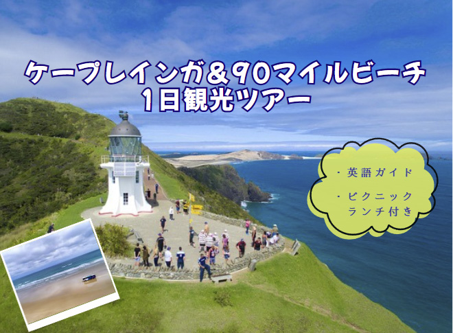 【パイヒア発着】ケープレインガ＆90マイルビーチ1日ツアー  