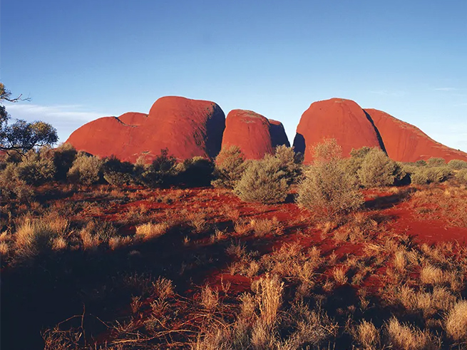 ガイド付きで学べるアウトバックの魅力