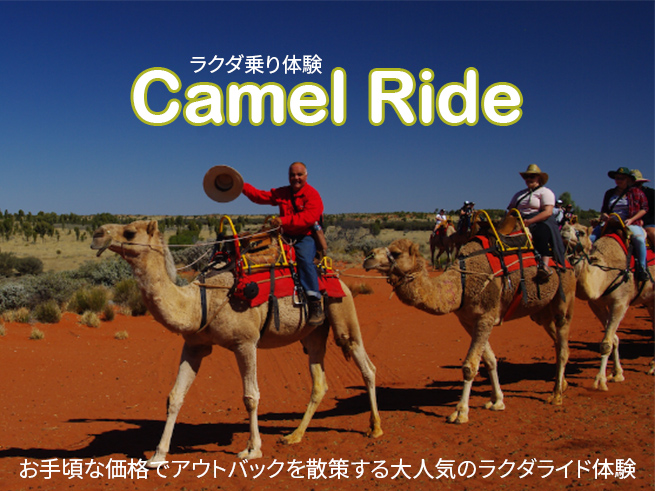 ラクダに揺られて巡る【ウルルとカタ・ジュタを望む】感動体験（午前or午後）