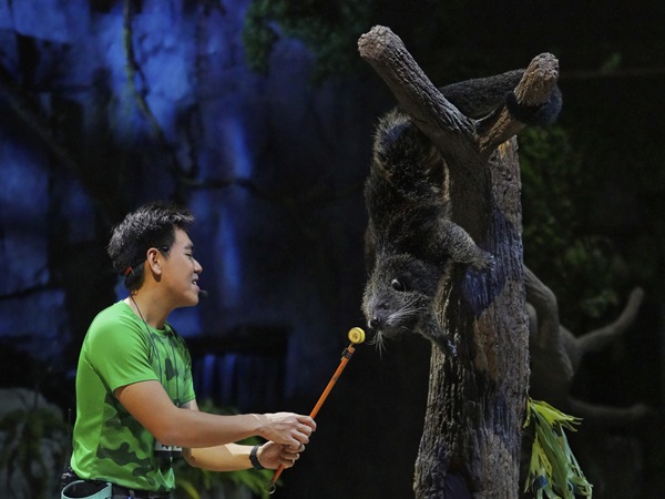 優先乗車付き日本語ガイダンス付きトラム、JTB指定席でのアニマルショー、往復送迎も全部込み！