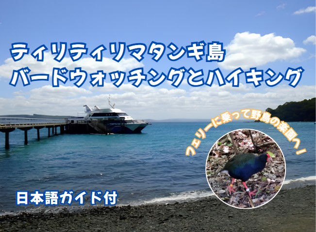 ティリティリマタンギ島  バードウォッチングとハイキング（日本語ガイド付）