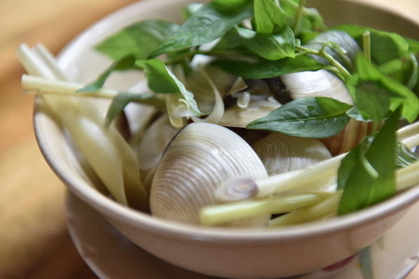 午前発の半日ツアー｜午後からの予定もしっかり楽しめる