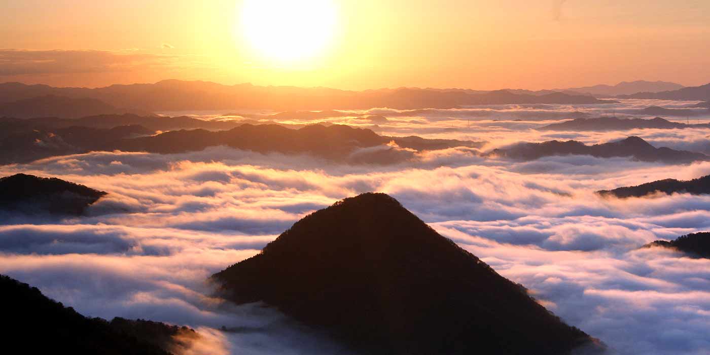 写真提供：中島均