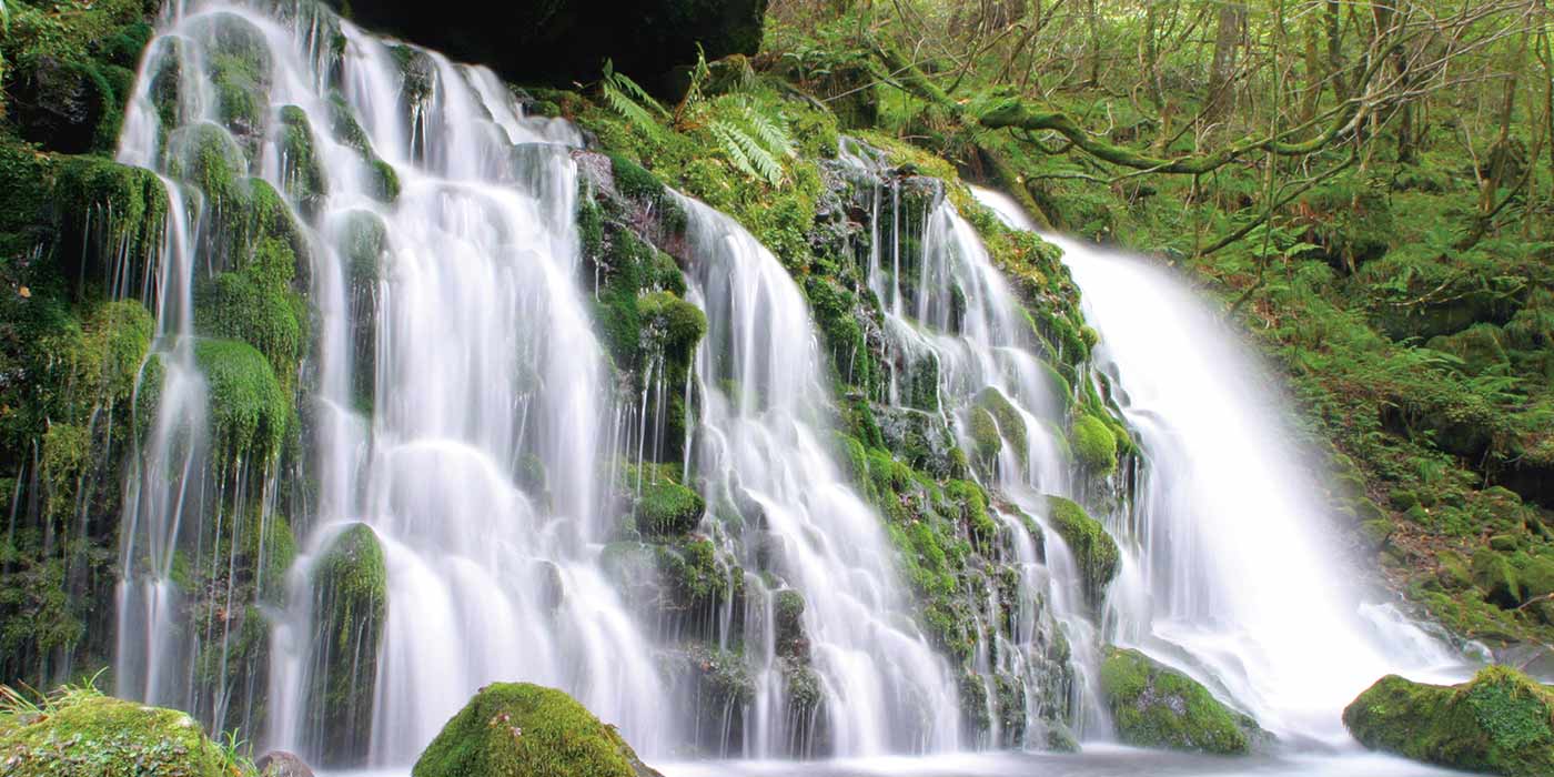白い水瀑と緑の苔が美しい鳥海山 元滝伏流水|日本の絶景 JTB 感動の