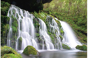 白い水瀑と緑の苔が美しい鳥海山 元滝伏流水|日本の絶景 JTB 感動の