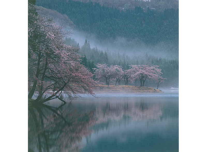 残雪と朝霧と湖面に映る中子の桜|日本の絶景 JTB 感動の瞬間（とき）