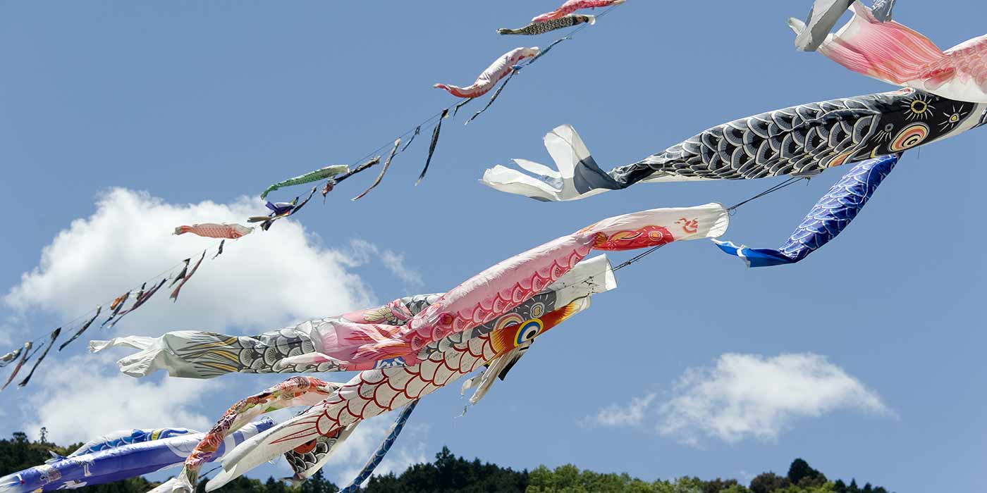 写真提供：（公財）高知県観光コンベンション協会