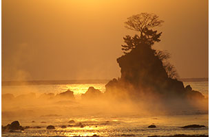 久慈川の氷花 シガ 日本の絶景 Jtb 感動の瞬間 とき