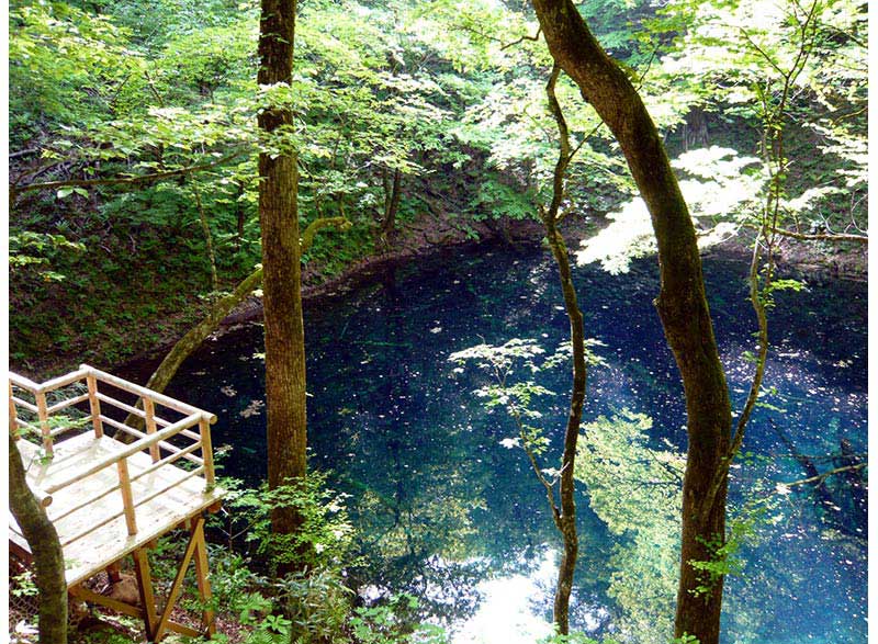 新緑とコバルトブルーの湖面 神秘の青池|日本の絶景 JTB 感動の瞬間