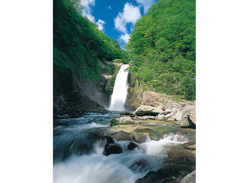 写真提供：宮城県観光課