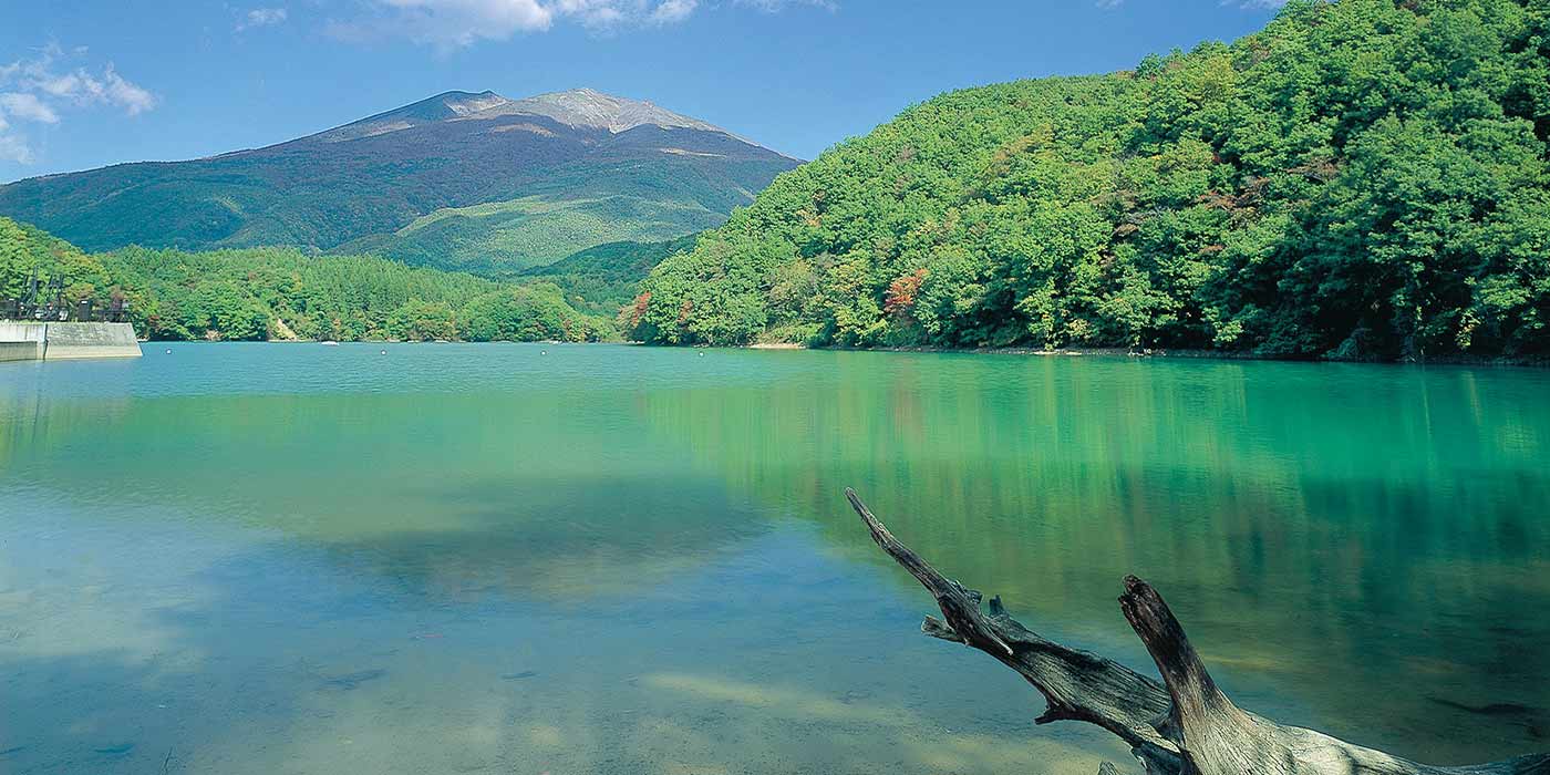 写真提供：宮城県観光課