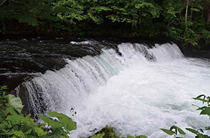 山水風景 白い水瀑と緑の苔が美しい鳥海山 元滝伏流水|日本の絶景 JTB 感動の