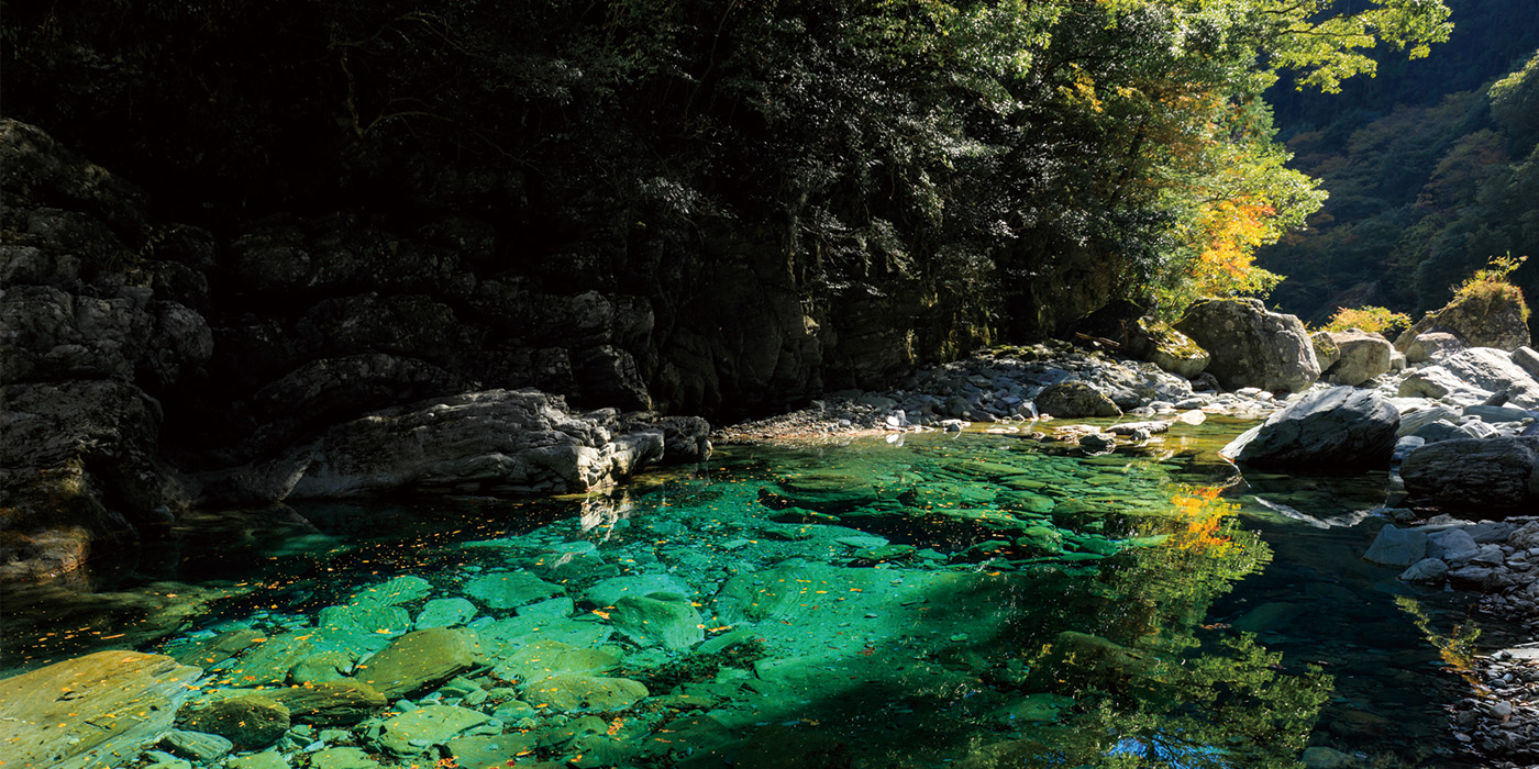 （一社）仁淀ブルー観光協議会