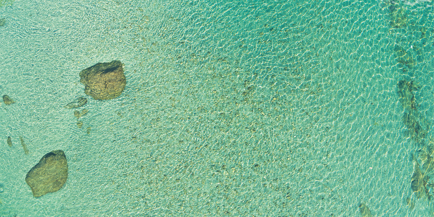 （一社）仁淀ブルー観光協議会