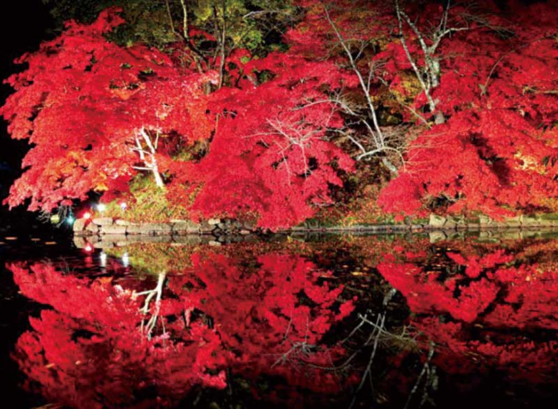 紅葉に彩られた古城弘前城|日本の絶景 JTB 感動の瞬間（とき）