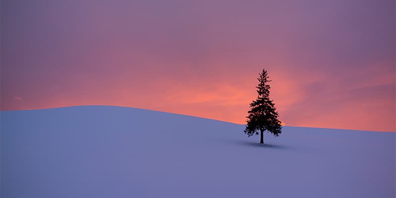 写真提供：美瑛町