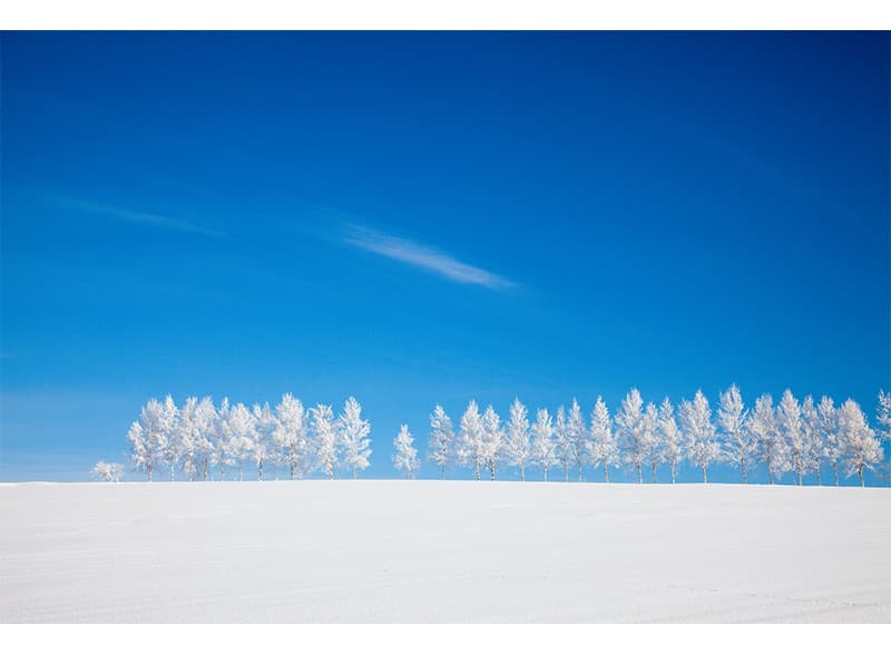 写真提供：美瑛町