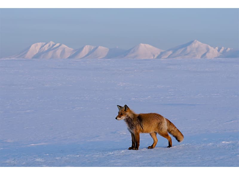 写真提供：美瑛町