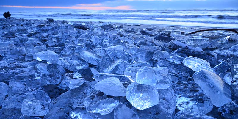 写真提供：豊頃町観光協会