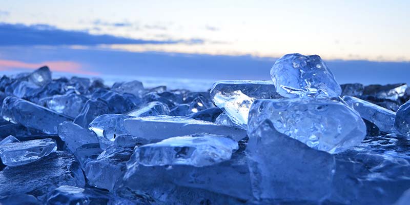 写真提供：豊頃町観光協会