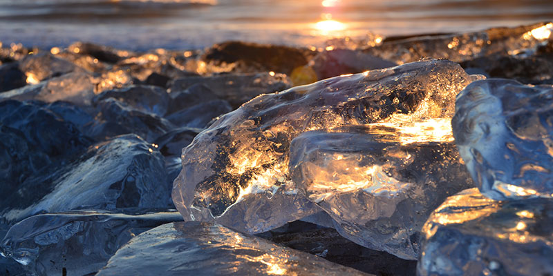 写真提供：豊頃町観光協会