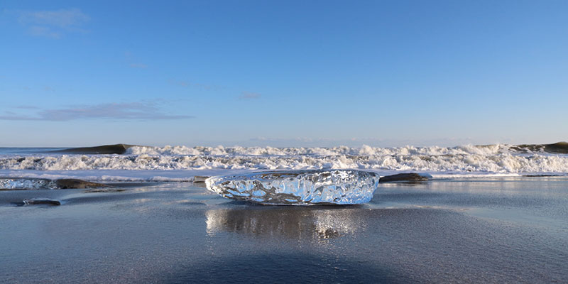写真提供：豊頃町観光協会