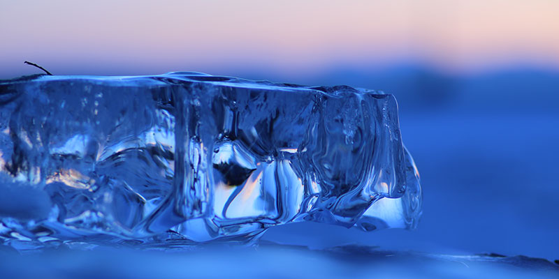 写真提供：豊頃町観光協会