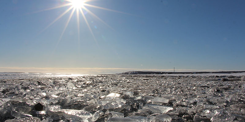 写真提供：豊頃町観光協会