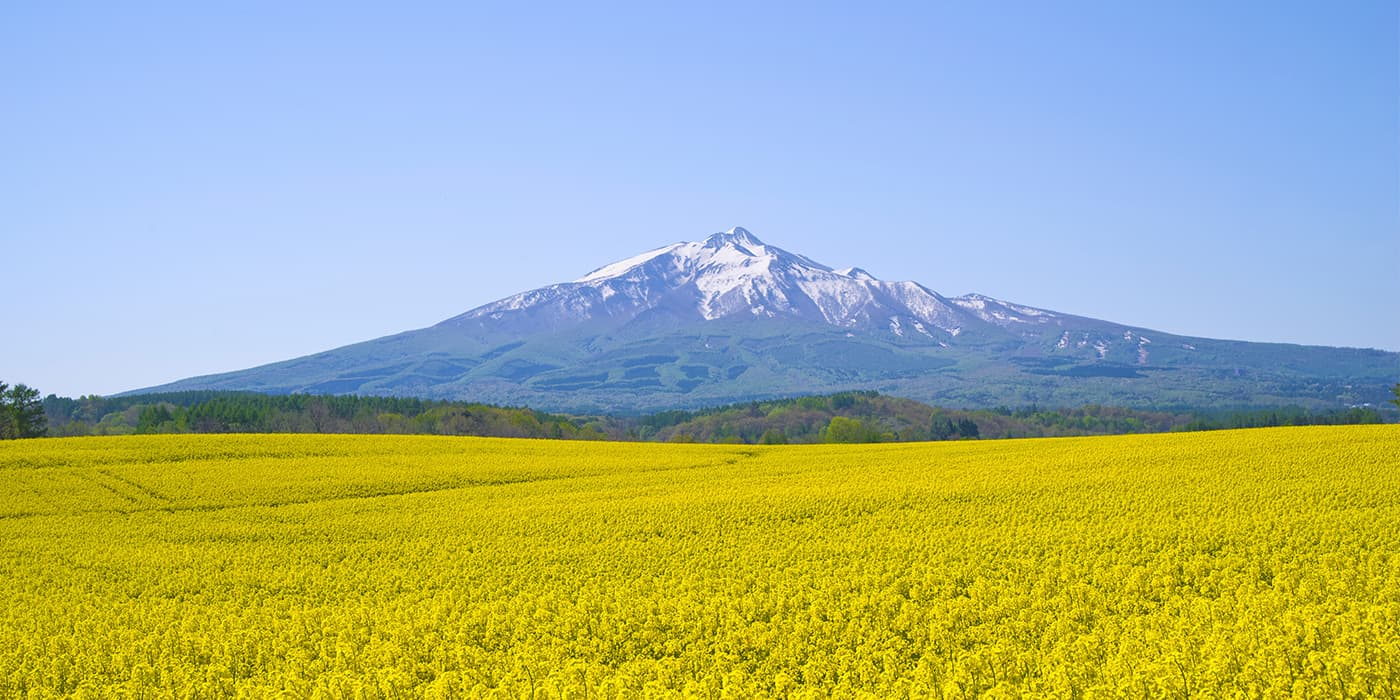 菜の花畑と残雪の津軽富士 岩木山 日本の絶景 Jtb 感動の瞬間 とき
