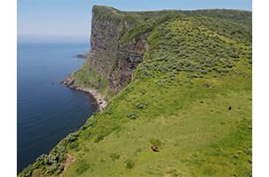 隠岐諸島 西ノ島 国賀海岸の摩天崖|日本の絶景 JTB 感動の瞬間(とき) 隠岐諸島 西ノ島 国賀海岸の摩天崖|日本の絶景 JTB 感動の瞬間(とき)