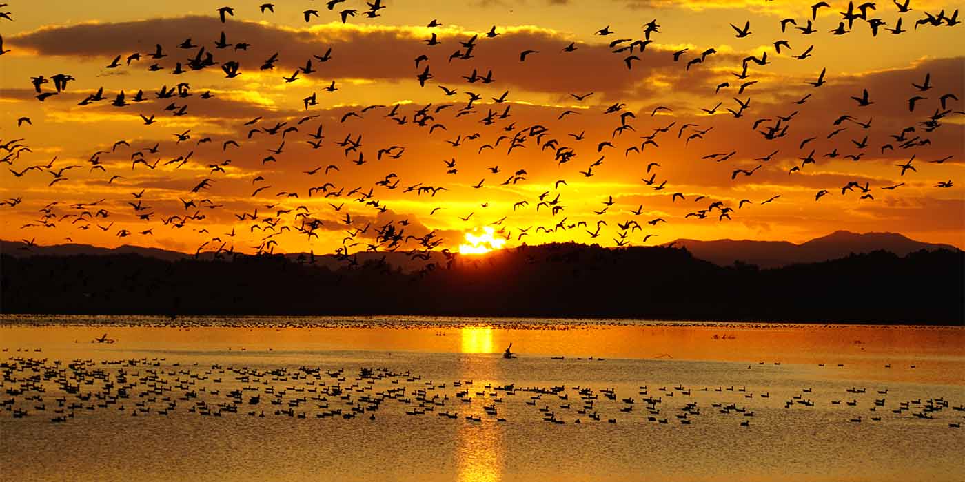 写真提供：宮城県観光プロモーション推進室
