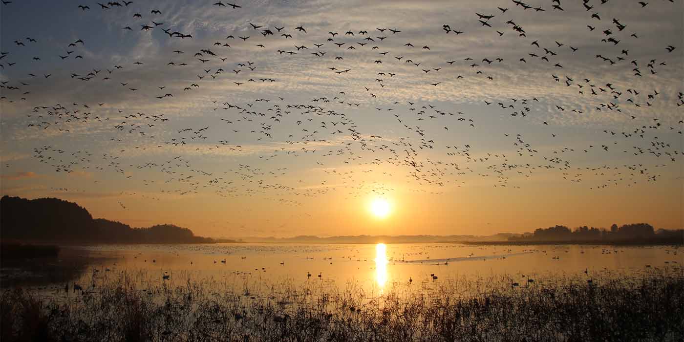 写真提供：宮城県観光プロモーション推進室
