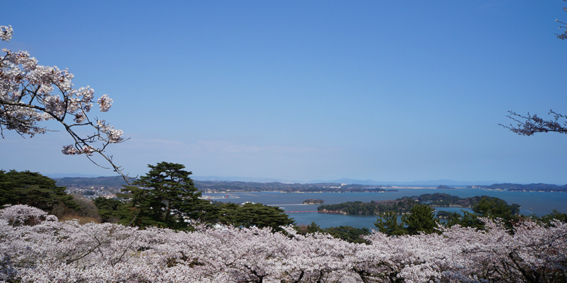 写真提供：宮城県観光戦略課