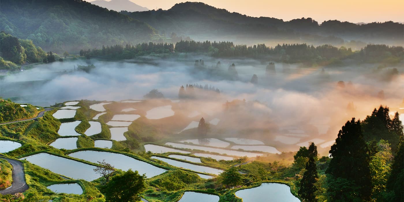 提供：（一社）十日町市観光協会