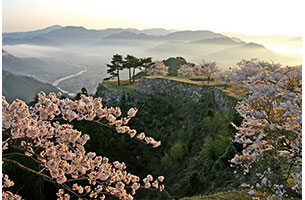 天空の城　竹田城跡からの絶景