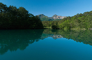 新緑が眩しい初夏の五色沼
