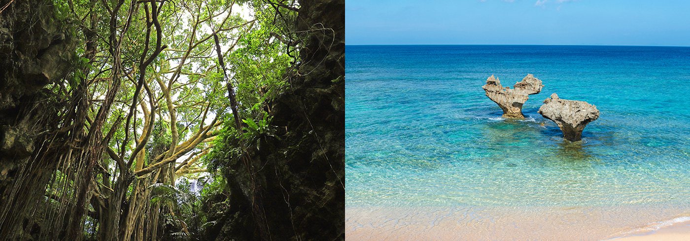 ～大自然に飛び込もう！～ 沖縄 特集
