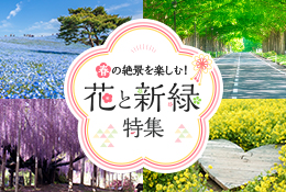 春の絶景を楽しむ！花と新緑 特集