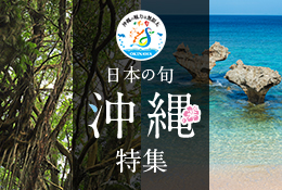 絶景を見に行く旅 「日本の旬 沖縄」 特集