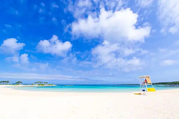 夏におすすめ