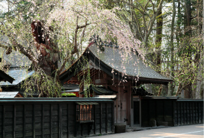 田沢湖・角館・大曲
