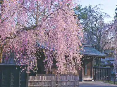 田沢湖・角館・大曲 イメージ