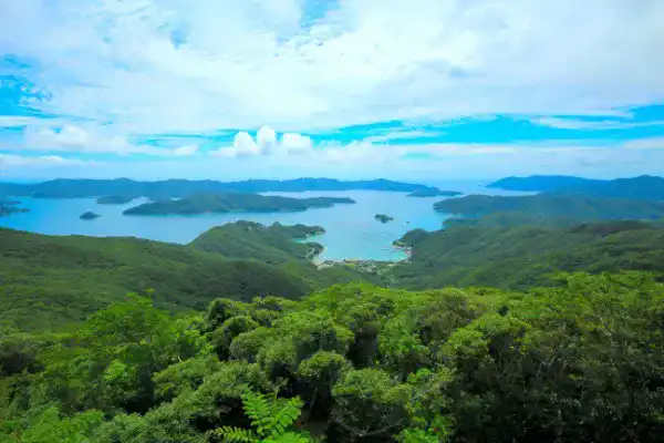 奄美大島・喜界島 イメージ