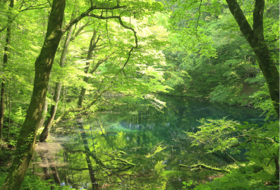 弘前・黒石・白神山地