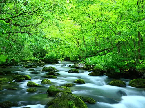 奥入瀬渓流 イメージ