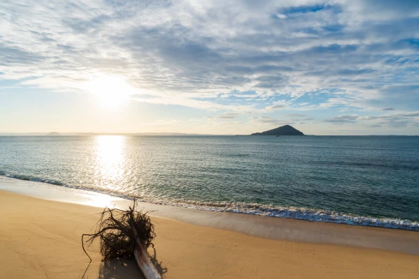 糸島 イメージ