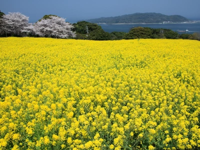 福岡市郊外・海の中道・能古島 イメージ