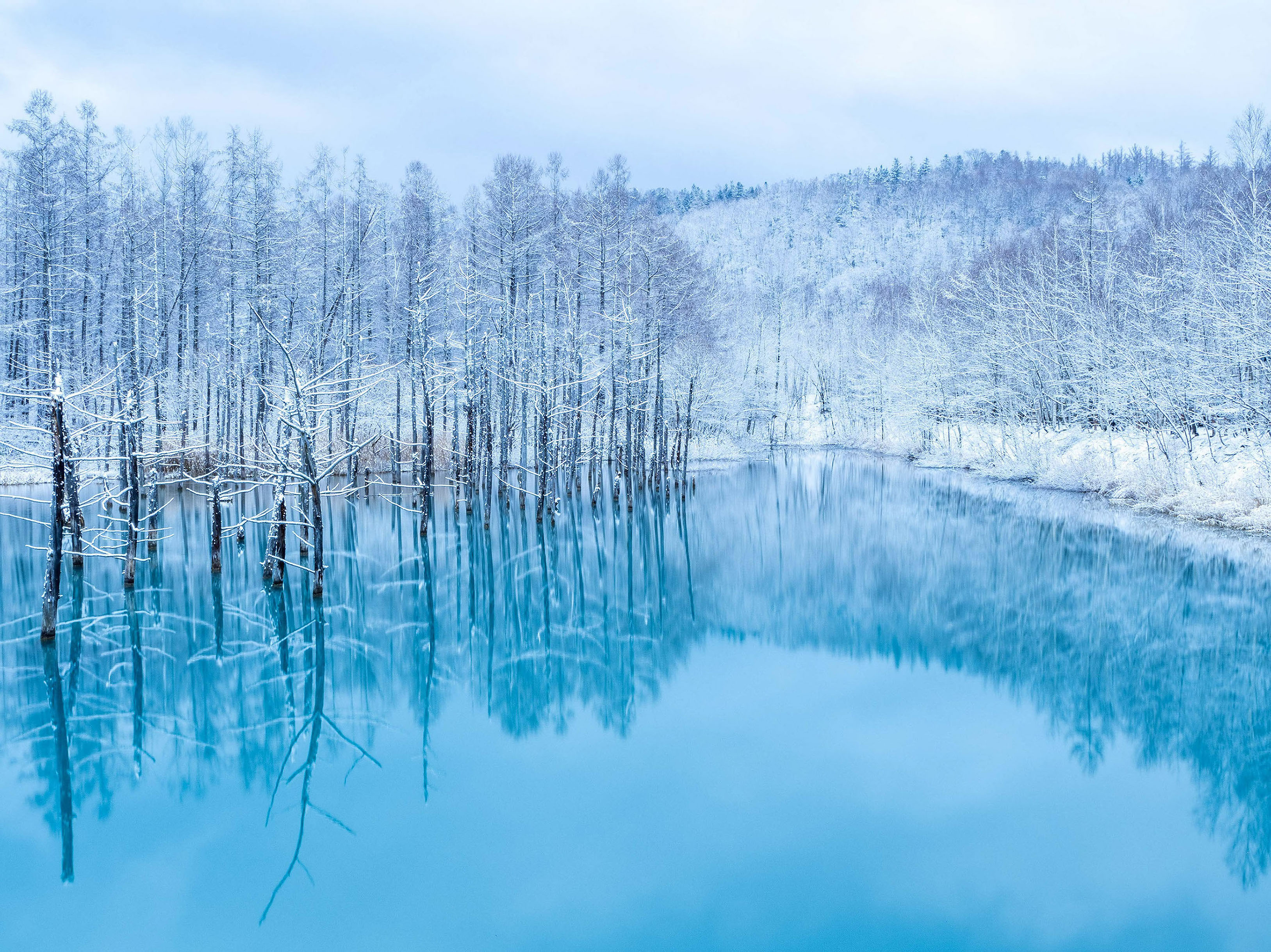 雪化粧の青い池