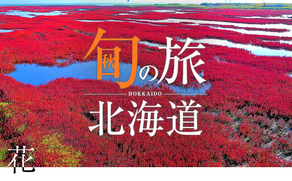 �{�̗� �k�C�� ��